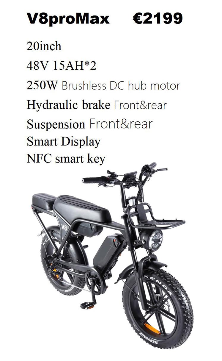 Fat tire e-bike Malta