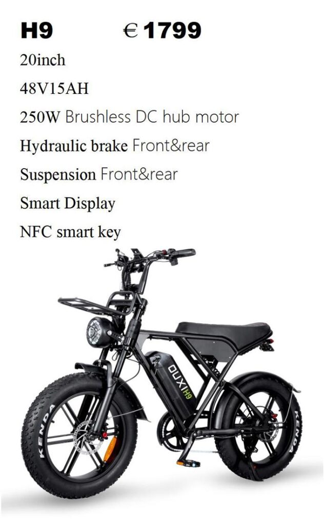 e-bike BESycle Malta