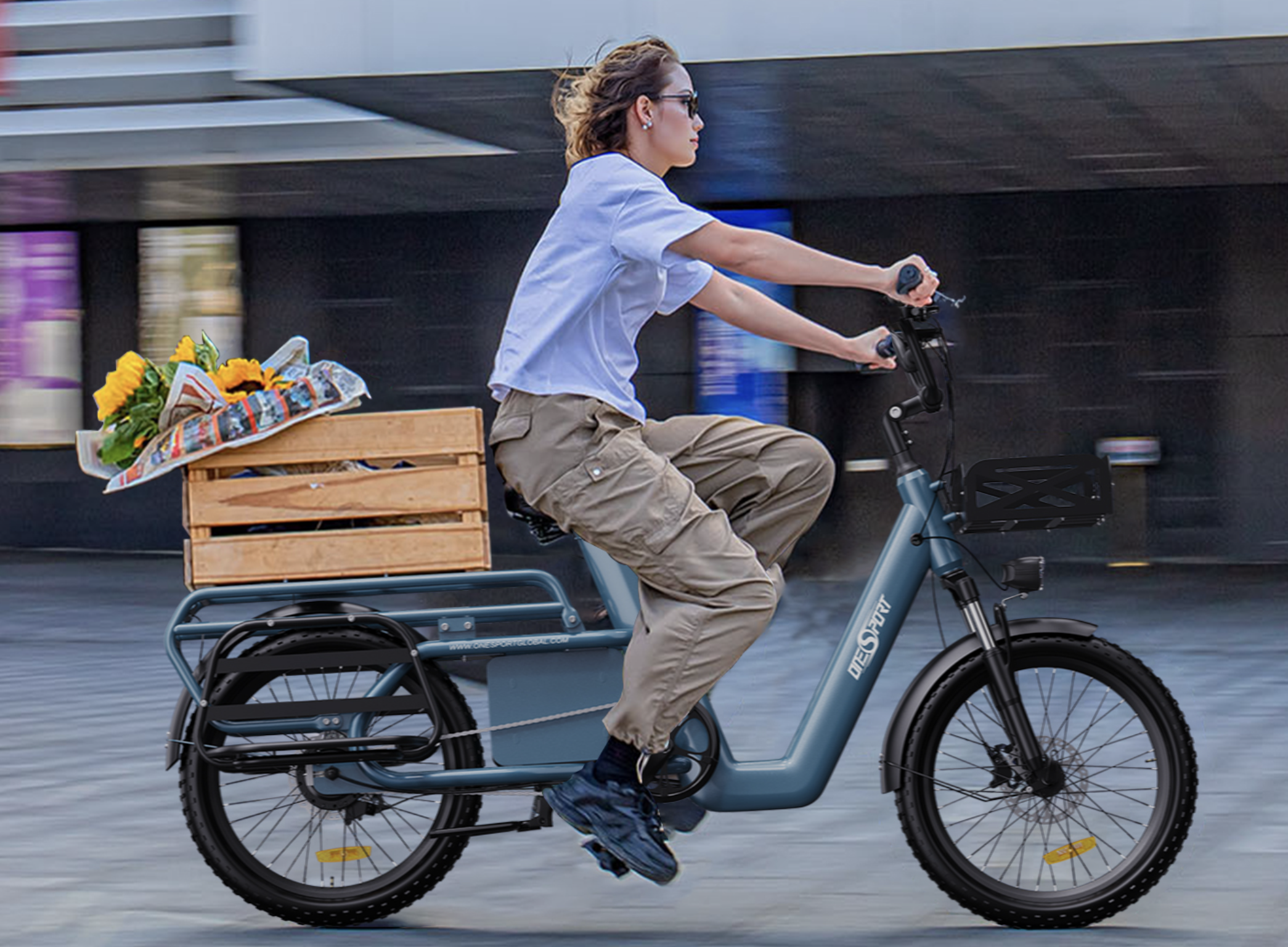 Cargo E-bike Malta--BESycle